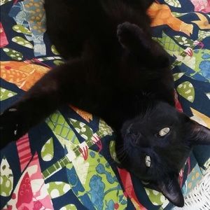 Meet your Posher, Paige